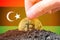 Legalization of bitcoin in Libya. Planting bitcoin in the ground on the background of the flag of Libya. Libya -