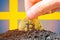 Legalization of bitcoin in Sweden. Planting bitcoin in the ground on the background of the flag of Sweden. Sweden -