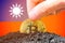 Legalization of bitcoin in Taiwan. Planting bitcoin in the ground on the background of the flag of Taiwan. Taiwan -