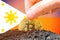 Legalization of bitcoins in the Philippines. Landing bitcoin in the ground on the background of the flag of the