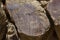 Legend Rocks State Petroglyph Site