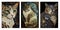 legendary cats mosaic art. collage of photos with a cat. Artwork canvas wall poster art