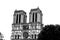 Legendary Paris cathedral Notre Dame. Beautiful Parisian achitecture. Magnificent landmark after destructive fire.