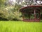 The Legendary Secret Garden of Changdeokgung