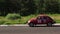 Legendary Volkswagen Beetle in vintage sport cars racing rally. Red colored