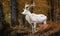 The legendary white deer roams freely in the mystical forest Creating using generative AI tools