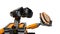 LEGO Wall-E large robot figure examining porcelain like seashell of Cowrie genus, latin name Cypraeidae, in his left arm.