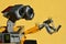 LEGO Wall-E robot from Disney Pixar movie, watching two LEGO Minecraft bees sitting on his left arm