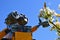 LEGO Wall-E robot model from Disney Pixar animated science fiction movie touches blossoming white spring flowers