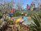 Legoland California Resort in Carlsbad, California