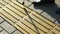 Legs of blind person searching special tactile tiles using white cane, closeup