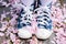 Legs in blue starlet sneakers on fallen sakura