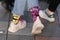 Legs in bright colored socks and white sneakers