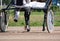 Legs of a brown trotter horse and horse harness. Harness horse racing in details.