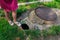 Legs of a child girl at a dangerous pit of failed asphalt in the yard near a sewer manhole. Background