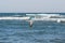 Legs of diving man in the swim flippers above the storm waves