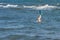 Legs of diving man in the swim flippers above the storm waves