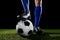 Legs and feet of football player in blue socks and black shoes posing with the ball playing on green grass