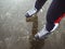 Legs of a girl in black hockey skates on ice. Photo above