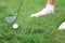 Legs of golfer iron putter and ball on grass