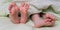 Legs, heels, toes and feet of children lying in bed under a blanket. Close-up of feet of two children, brothers or sisters