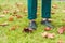 Legs on lawn with autumn foliage