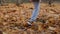 Legs little girl walking in autumn forest. Child goes and kicks leaves in park.