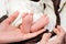 Legs newborn baby girl  in the parent hands on a white background clothes