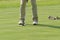 Legs of a person playing golf in the field