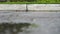 Legs of a runner in sneakers. Sports woman jogging outdoors, stepping into muddy puddle. Single runner running in rain