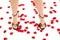 Legs with shoes on rose pedals