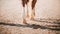 The legs of a sorrel horse, which steps with its hooves on the sand in the arena, illuminated by the sunlight