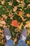 Legs in sport shoes standing on autumn maple leaves in green grass. Feet in shoes walking in fall nature