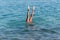 Legs sticking out of the sea. Diving into the sea. Legs of a young person sticking out of a blue sea.