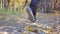 Legs of strong man running at forest path covered with colored foliage. Guy jogs stepping on dry fallen leaves. Athlete