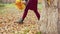 Legs teenager girl walking on fallen leaves in autumn park. Walking teenager girl kicking orange foliage in autumn city