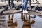 Legs of three girls in tight jeans on the background of puddles, asphalt and feeding pigeons in town square, modern fashion, girl