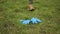 Legs of an unrecognizable teenager kicking trash on the grass, medical protective gloves. Disposable hygiene products