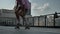 Legs of young man skateboarder doing skateboard trick in daytime in summer, sport concept, urban concept