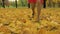 Legs of young slim beautiful caucasian woman are running on yellow fallen leaves in park