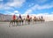 LEH LADAKH, INDIA-JUNE 24: Group of tourists are riding camels a