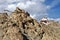 Leh (Ladakh) - Tsemo castle overlooking the town