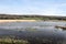 Leighton Moss Nature Reserve