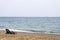 Leisure on beach under umbrella