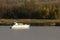 leisure boat at parana river