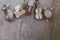 leisure object concept image, miniature violin, clocks,travel bag and train on wooden floor