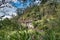 Lemo is cliffs burial site in Tana Toraja, South Sulawesi, Indonesia