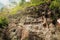 Lemo is cliffs burial site in Tana Toraja, South Sulawesi, Indonesia