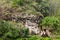 Lemo is cliffs burial site in Tana Toraja, South Sulawesi, Indonesia