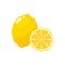 lemon anatomy pictures